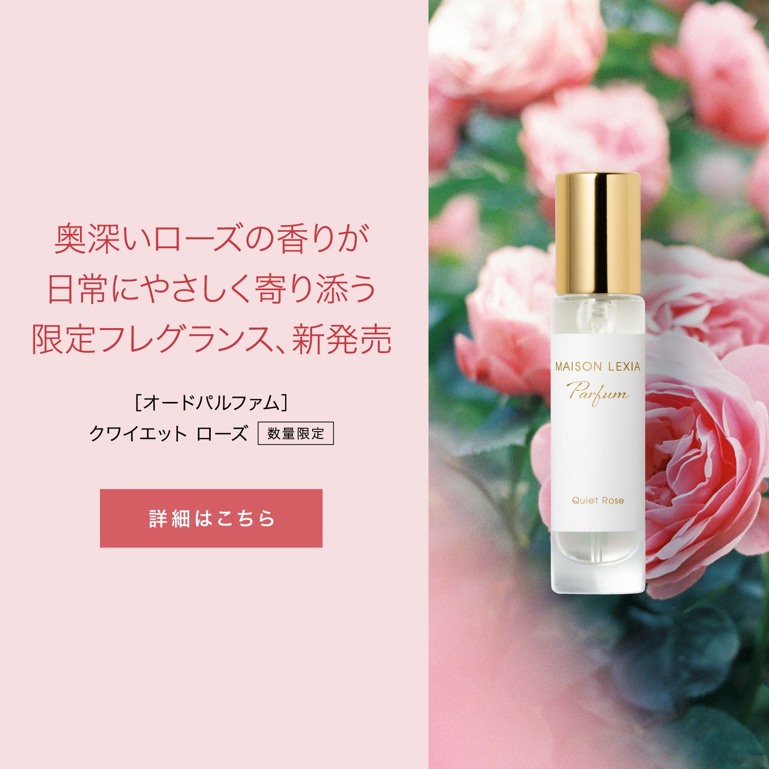 MAISON LEXIA ONLINE SHOP